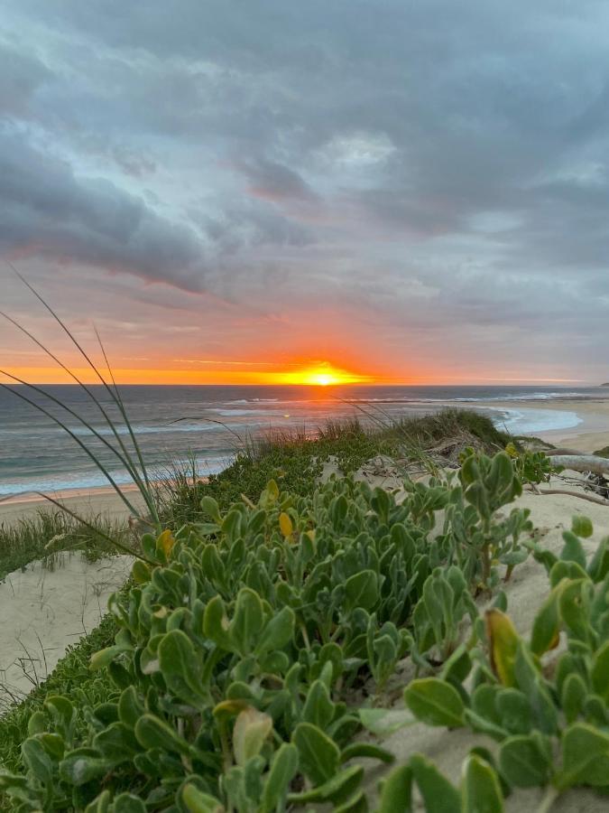 Soutelande Country Stay - Close To 1#Beach In Pe Πορτ Ελίζαμπεθ Εξωτερικό φωτογραφία