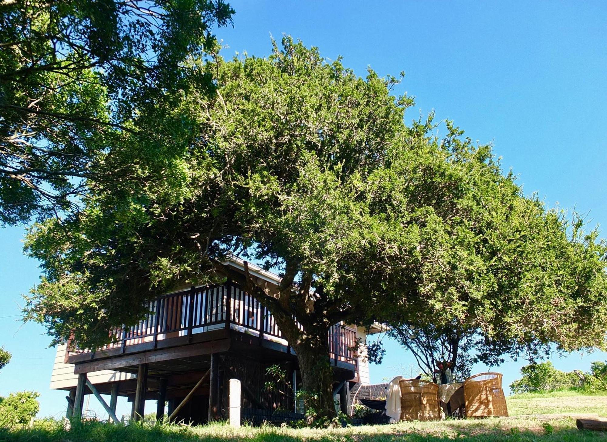 Soutelande Country Stay - Close To 1#Beach In Pe Πορτ Ελίζαμπεθ Εξωτερικό φωτογραφία